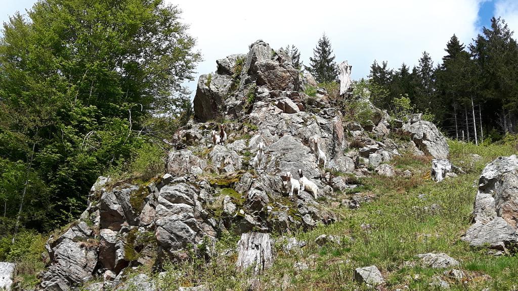 Apartmán Haus Grabenbuehl Wieden Exteriér fotografie